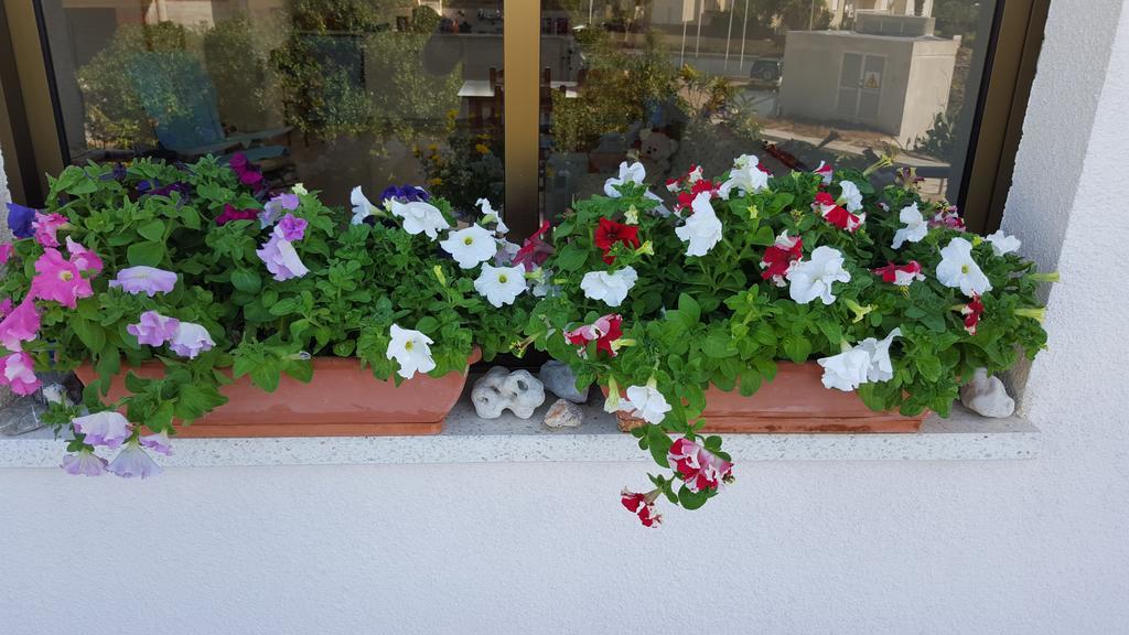 Arilena Holiday Apartments Paphos Eksteriør billede