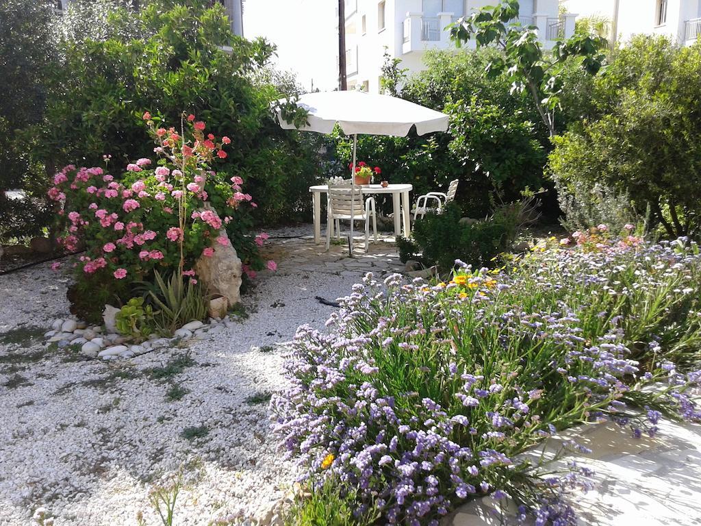 Arilena Holiday Apartments Paphos Eksteriør billede