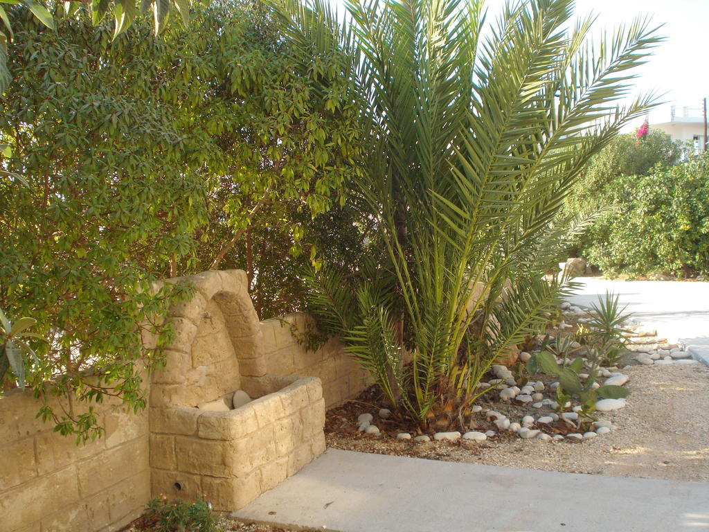 Arilena Holiday Apartments Paphos Eksteriør billede